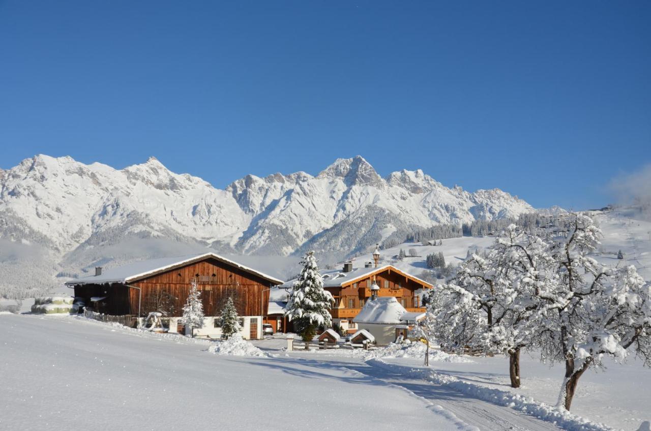 Biohof Ebengut Aparthotel Maria Alm am Steinernen Meer Exterior photo